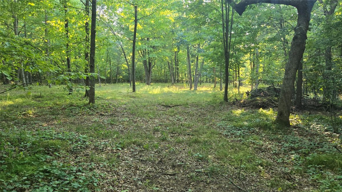 W02 State Highway 64, Colfax WI 54730 - Land house for sale - MLS #1604529 - image16