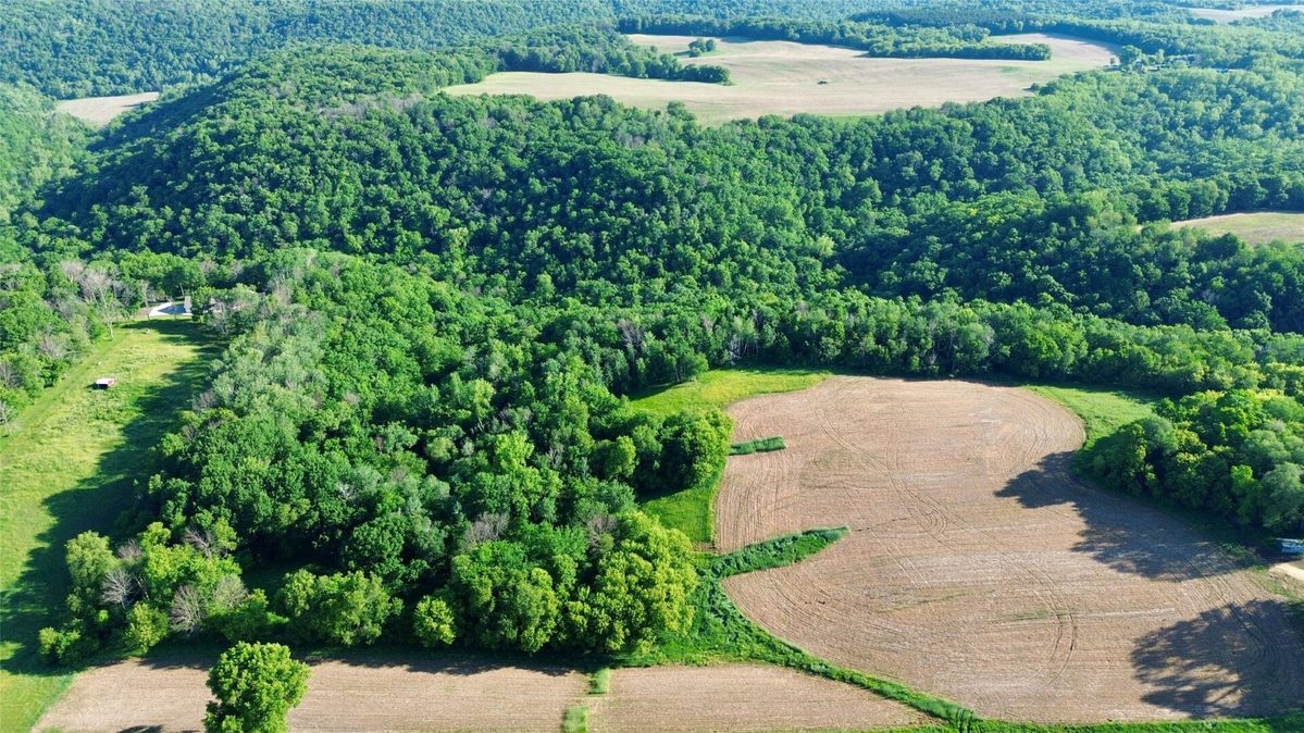 15.01 Acres 160th Avenue, Maiden Rock WI 54750 - Land house for sale - MLS #1604580 - image6