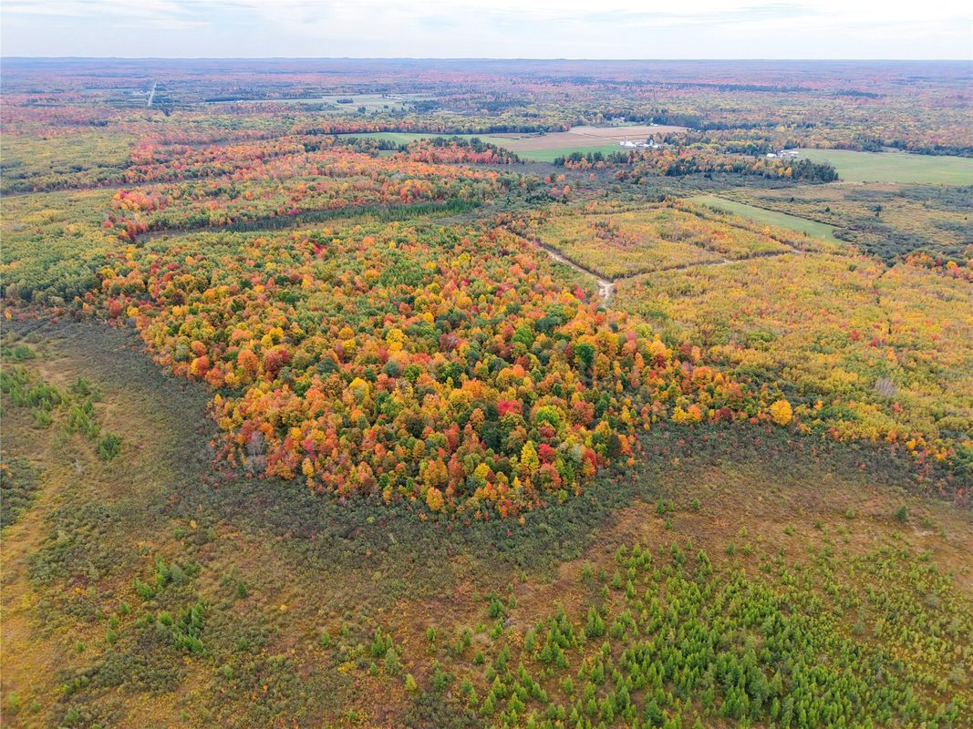 0000 County Road I, Ogema WI 54459 - Land house for sale - MLS #1605613 - image6