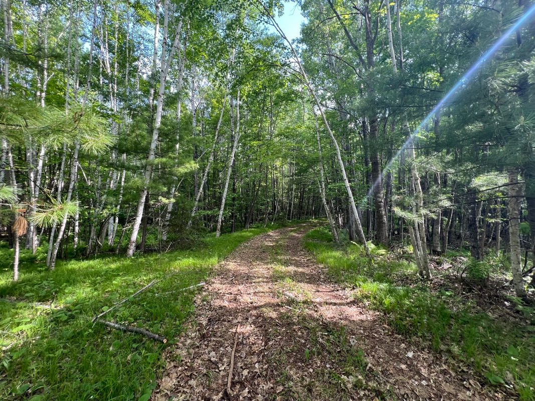 7151 County Road A, Solon Springs WI 54873 - Land house for sale - MLS #1602028 - image16