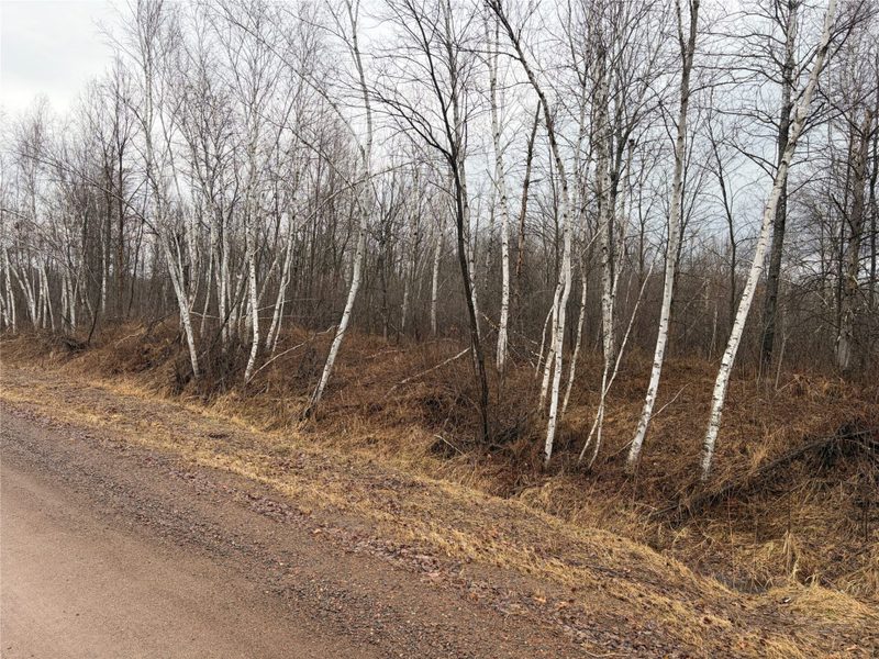 ON Sheep Camp Road