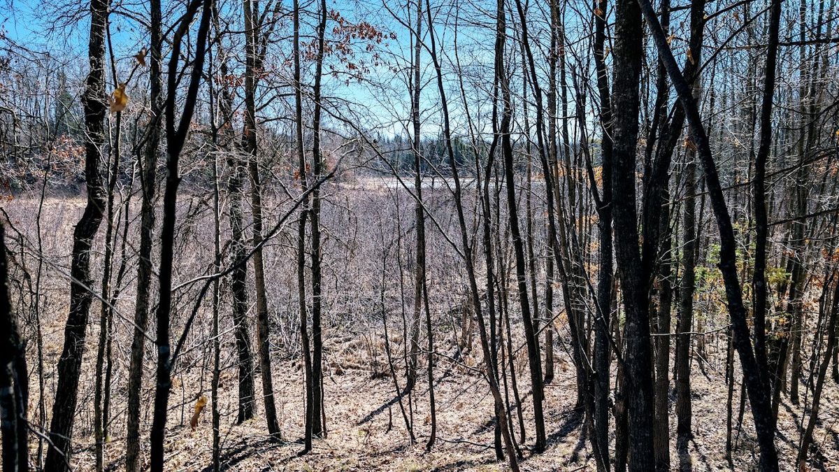 17341 County Highway M  New Auburn WI 54757 — photo 54