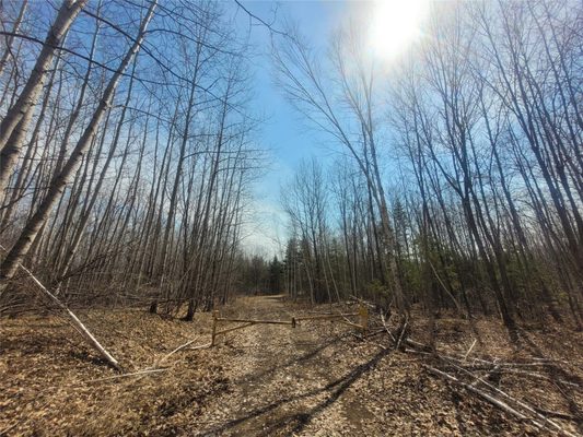 On Dean Road Ladysmith WI 54848