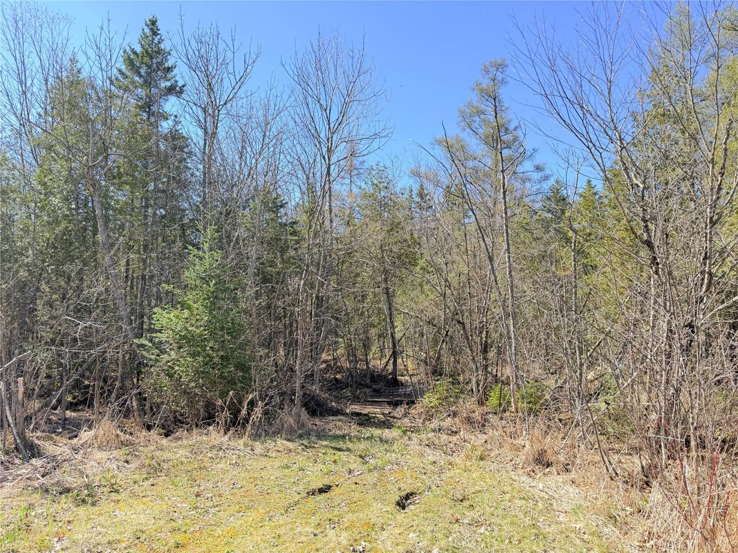 N1132 Cedar Point Lane, Weyerhaeuser WI 54895 - Residential house for sale - MLS #1600578 - image34