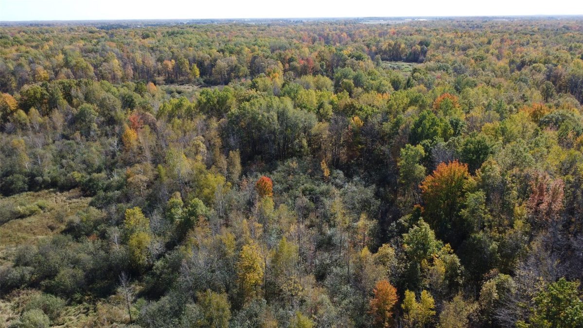 OOO Richfield Wood Road, Arpin WI 54410 - Land house for sale - MLS #1605936 - image16