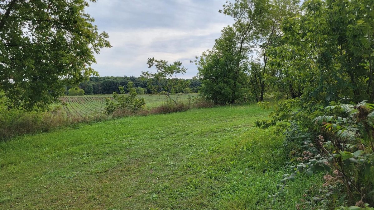 3585 Highway 49, Rosholt WI 54473 - Residential house for sale - MLS #1605185 - image12