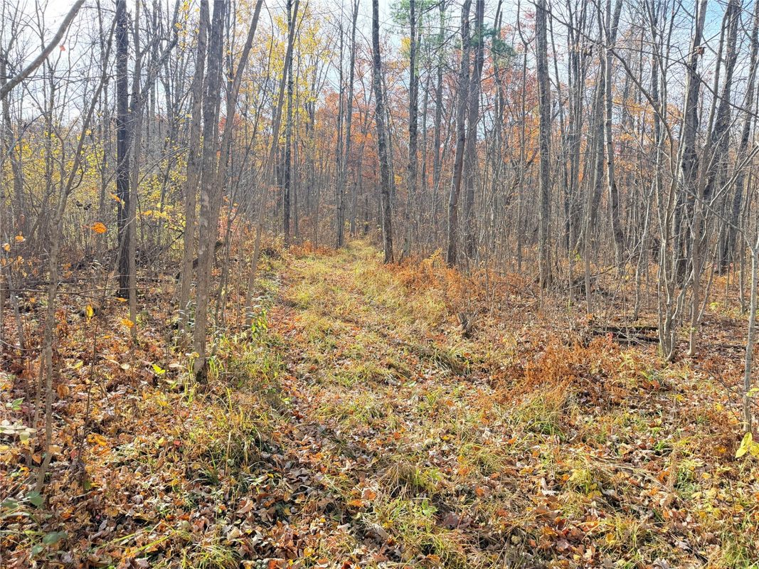 0 County Highway C, Rice Lake WI 54868 - Land house for sale - MLS #1605929 - image48