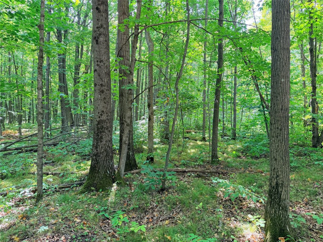 30 Acres County Highway X, Glen Flora WI 54526 - Land house for sale - MLS #1605967 - image21
