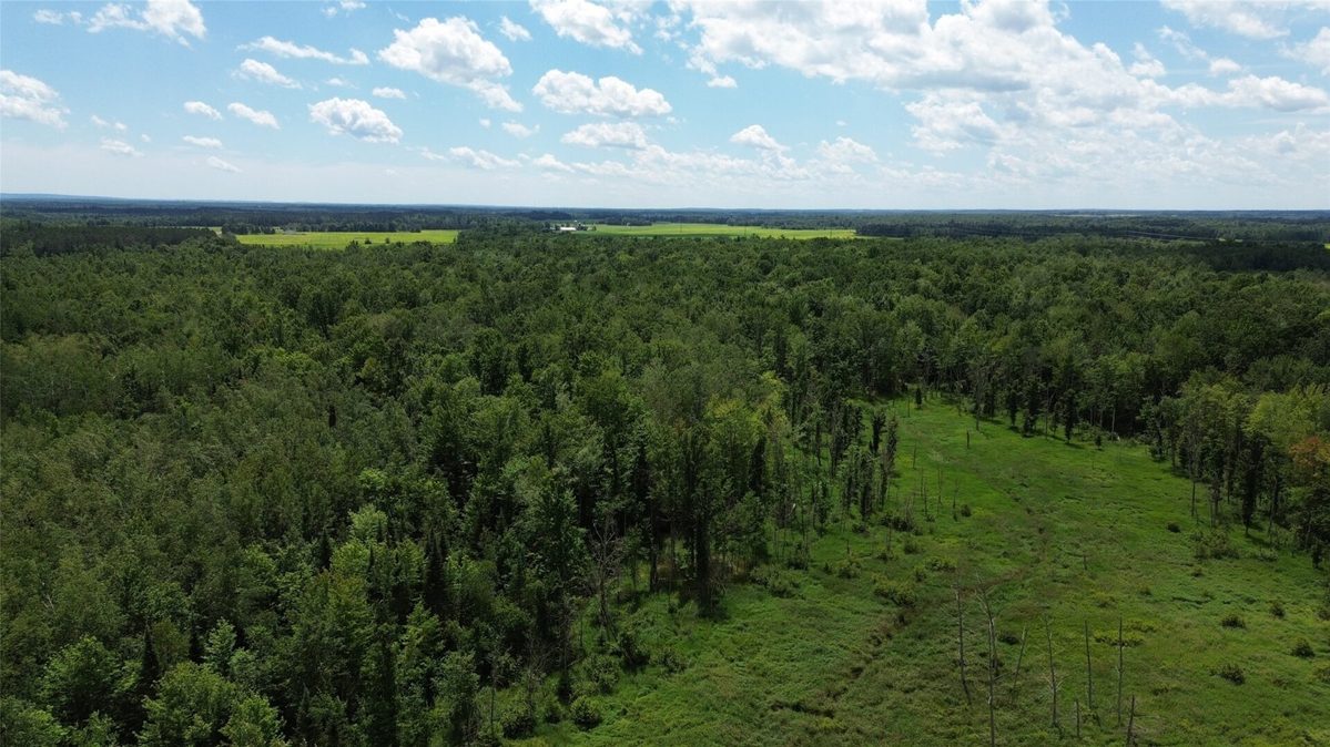 11199 Edgewood Avenue, Bruce WI 54848 - Land house for sale - MLS #1605749 - image14
