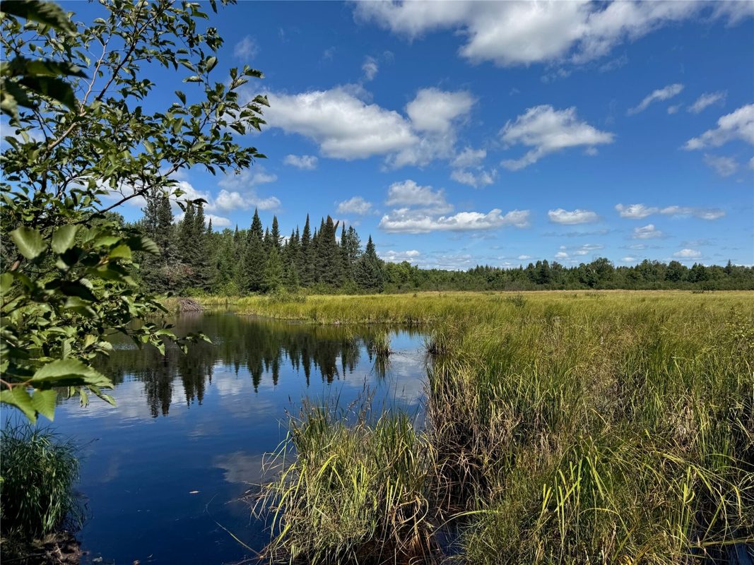 8143 Wright Road, Winter WI 54896 - Land house for sale - MLS #1594262 - image4