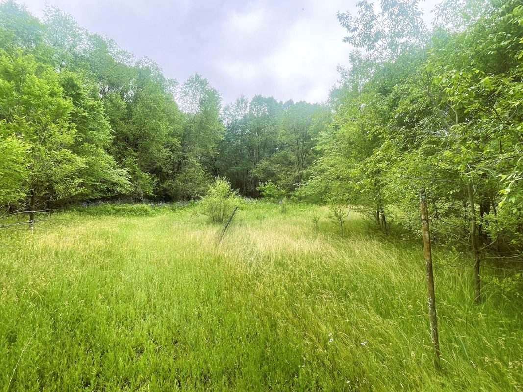 4715 Olson Drive, Eau Claire WI 54703 - Residential house for sale - MLS #1602171 - image14