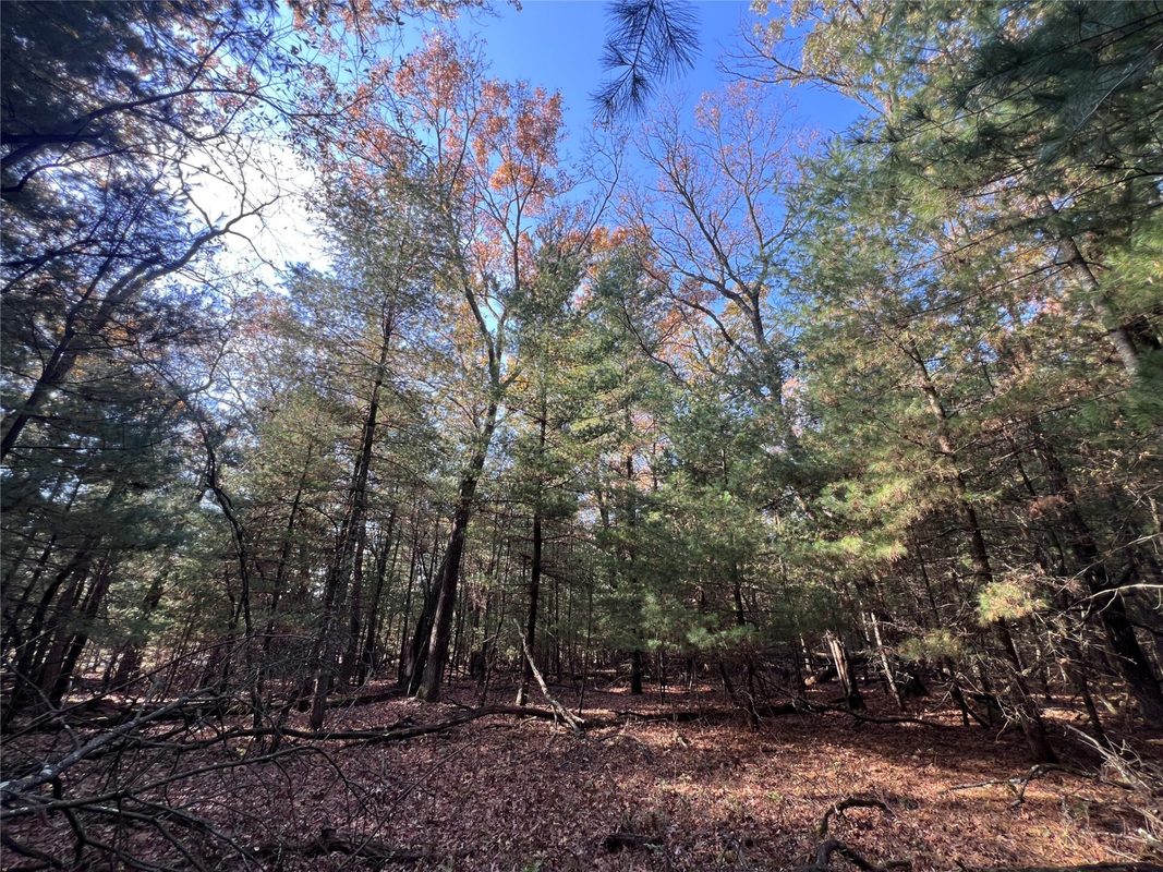 TBD Fish Drive, Grand Marsh WI 53936 - Land house for sale - MLS #1606229 - image17