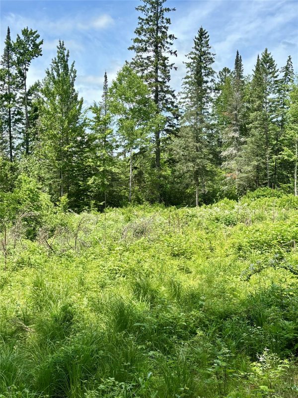 16550 Ridgerock Road, Hayward WI 54843 - Land house for sale - MLS #1591202 - image8