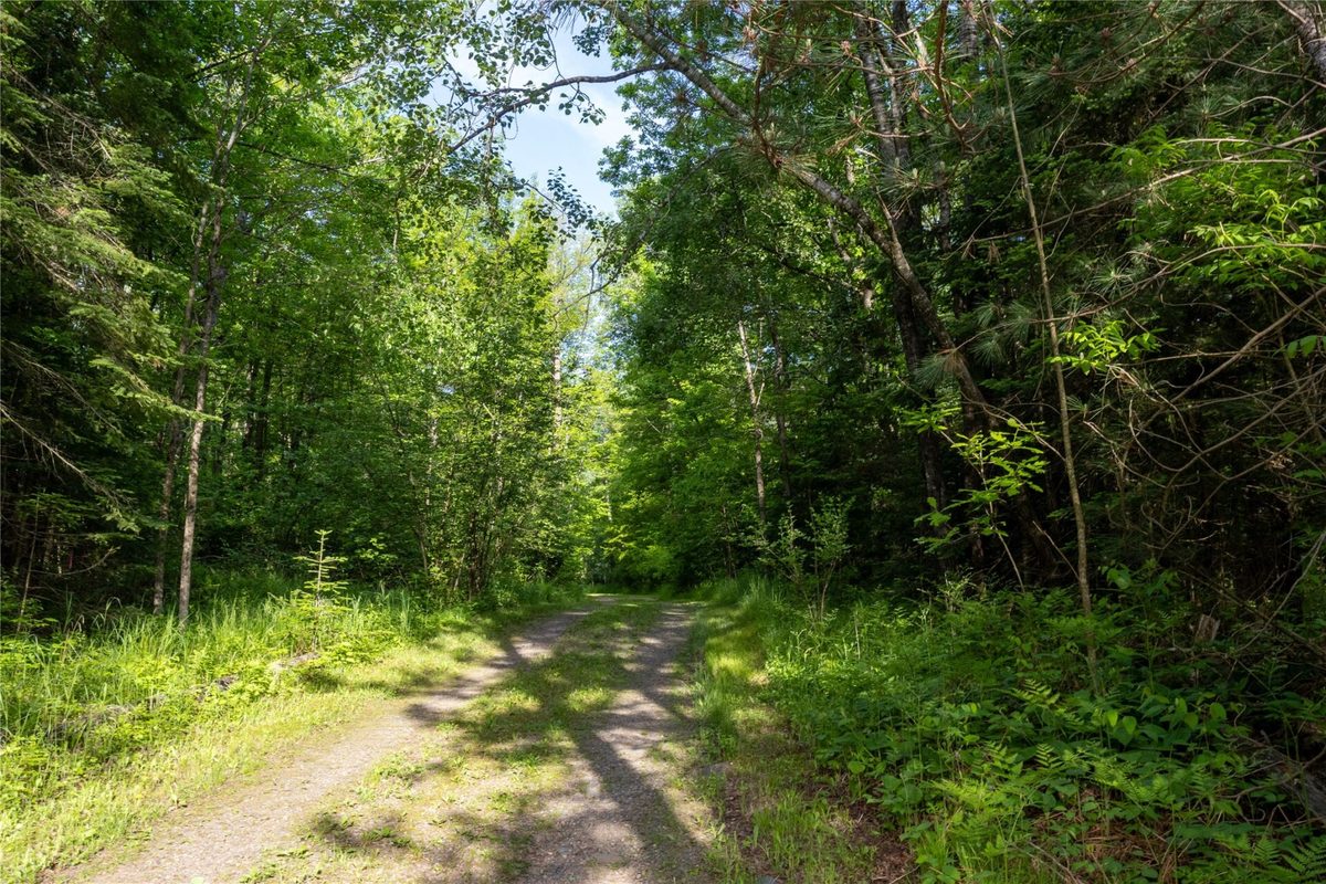 N6332 LaVerne Lane, Hawkins WI 54530 - Residential house for sale - MLS #1601740 - image43
