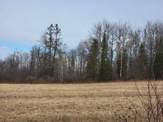 On Townline Road Ojibwa WI 54862