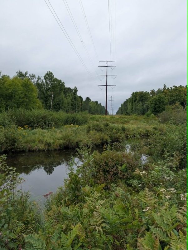 10501 County Hwy M Highway, Springbrook WI 54875 - Land house for sale - MLS #1604696 - image23