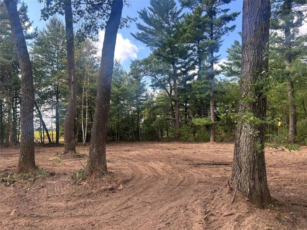 Lot 4 9 3/4 Avenue, Chetek WI 54728 - Land house for sale - MLS #1603971 - image6