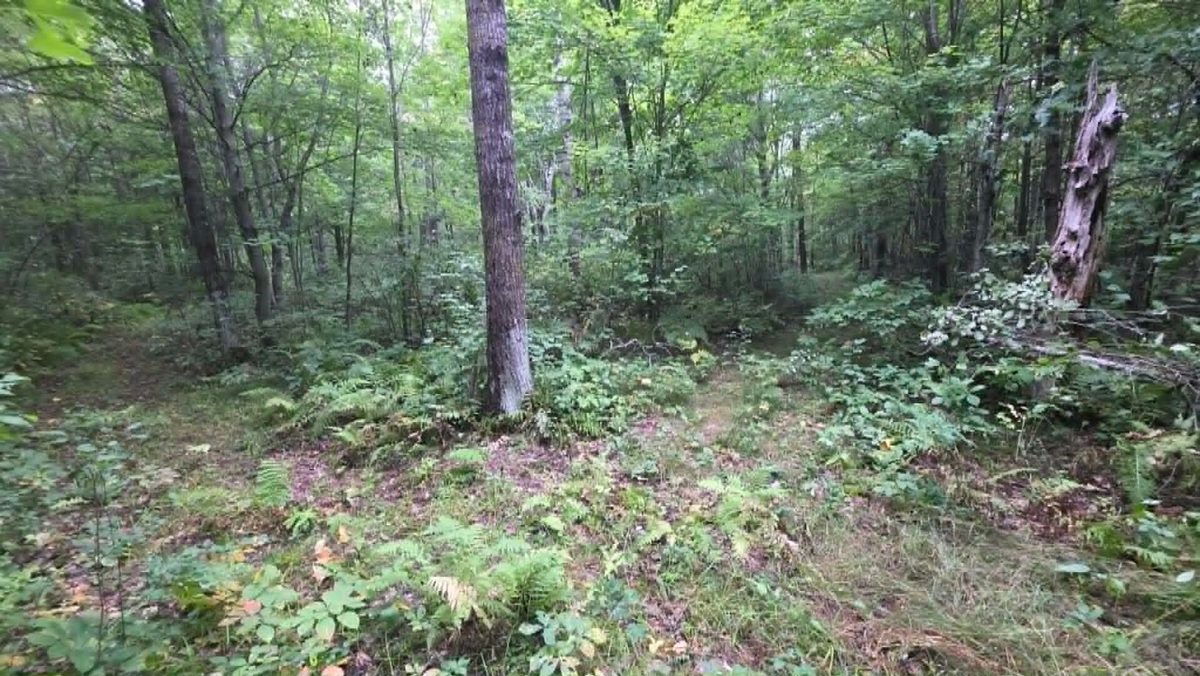10501 County Hwy M Highway, Springbrook WI 54875 - Land house for sale - MLS #1604696 - image27