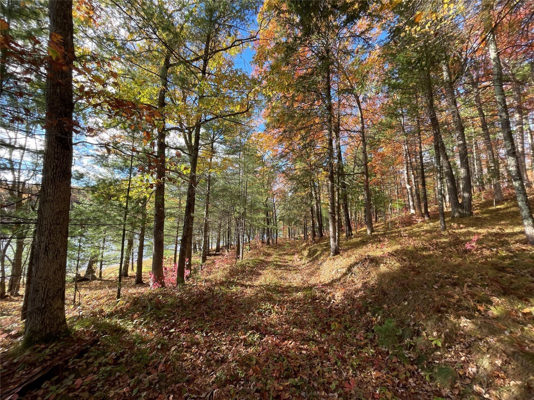 7 W Tanager Trail, Hayward, WI — photo 10