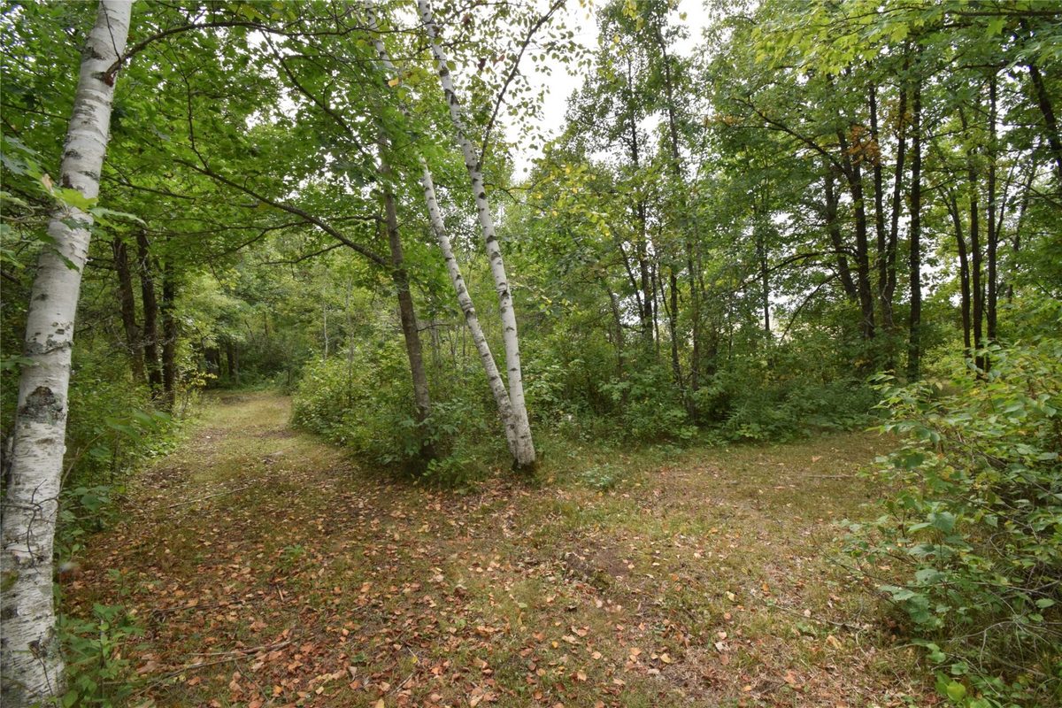 TBD State Highway 77, Danbury WI 54830 - Land house for sale - MLS #1604768 - image5