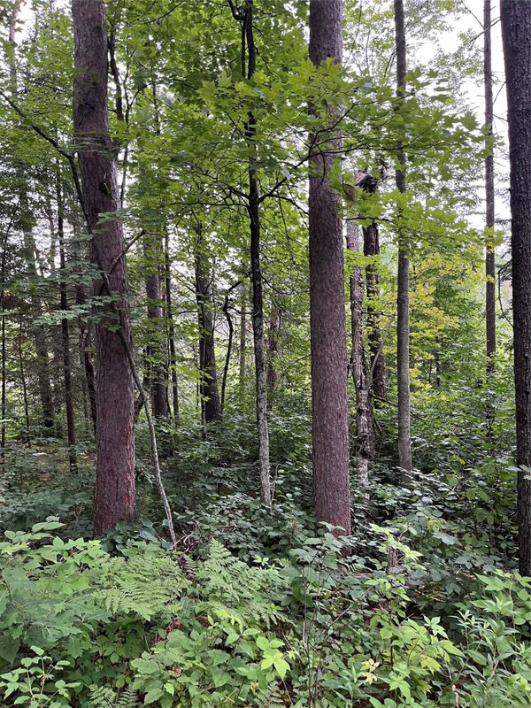 16876 Southview Trail, Stone Lake WI 54876 - Land house for sale - MLS #1599724 - image19