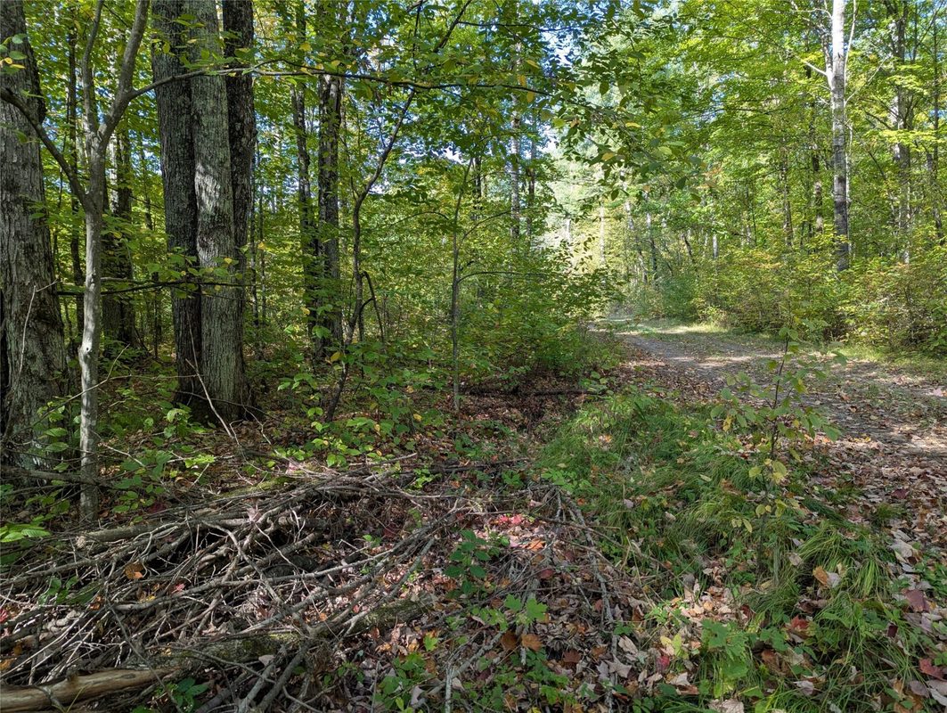 Lot 17 Rabbit Run, Ojibwa WI 54862 - Land house for sale - MLS #1605249 - image7