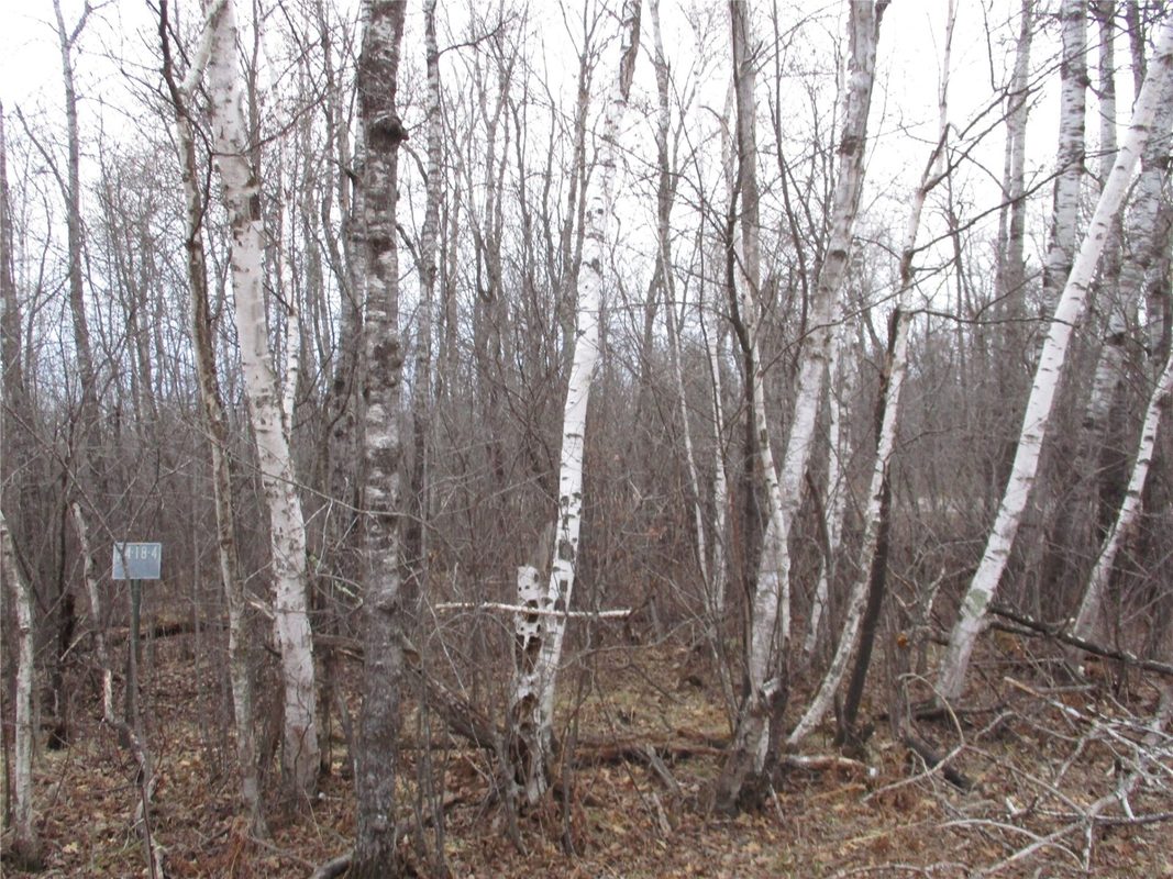 Lot #24 28 11/16 Street, Birchwood WI 54817 - Land house for sale - MLS #1599869 - image2