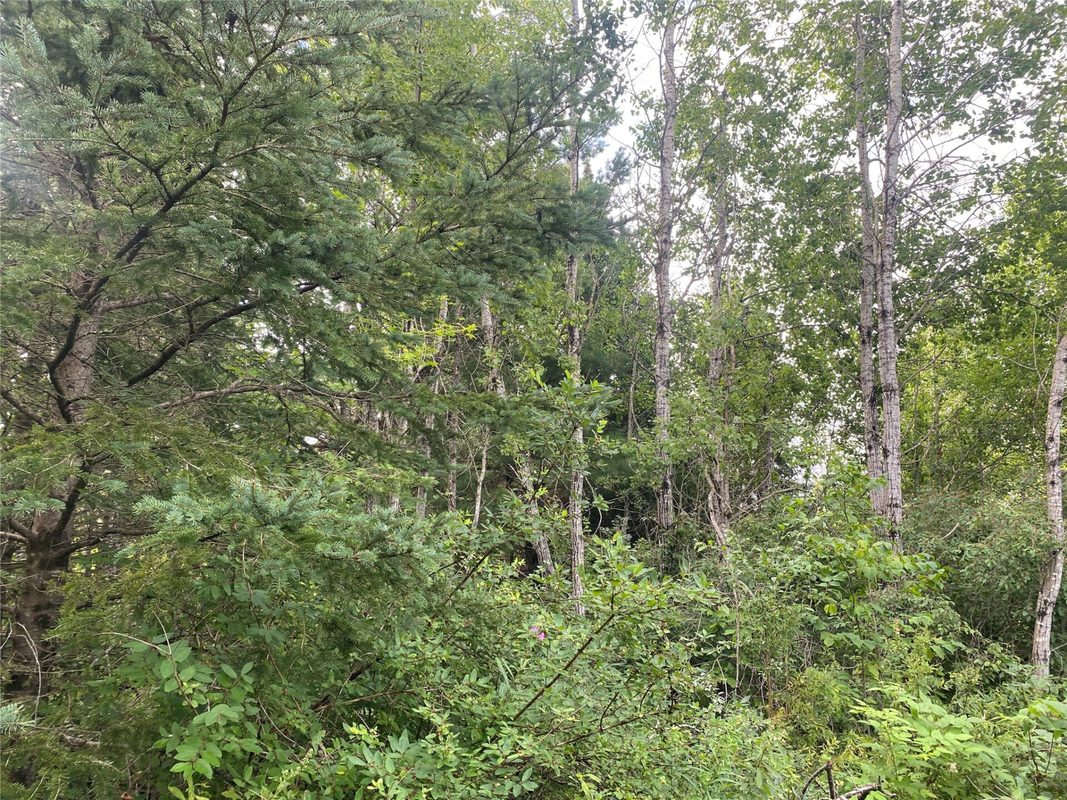 ON Delap Lane Couderay WI 54828 — photo 4