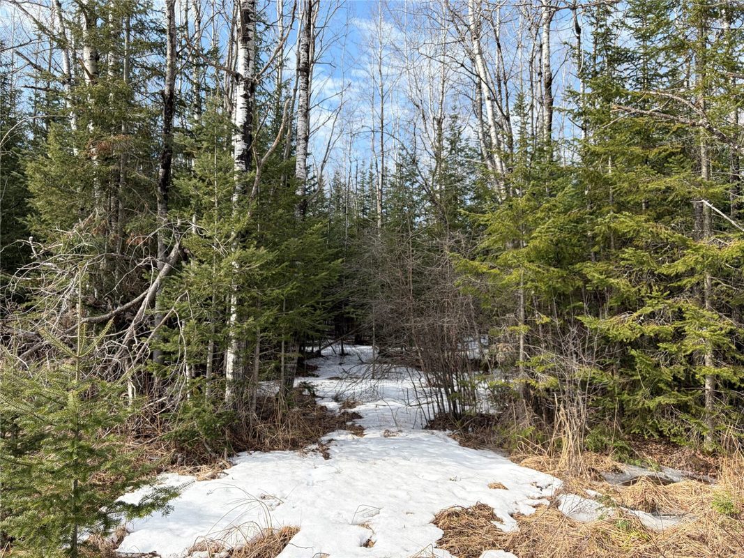 ON CTH F Park Falls WI 54552 — photo 3