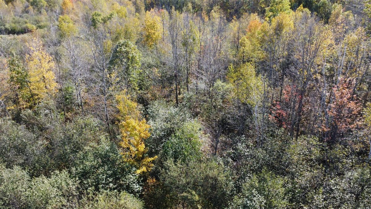 OOO RICHFIELD WOOD ROAD, Arpin WI 54410 - Land house for sale - MLS #1605936 - image13