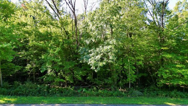 N6497 906th Street Elk Mound WI 54739