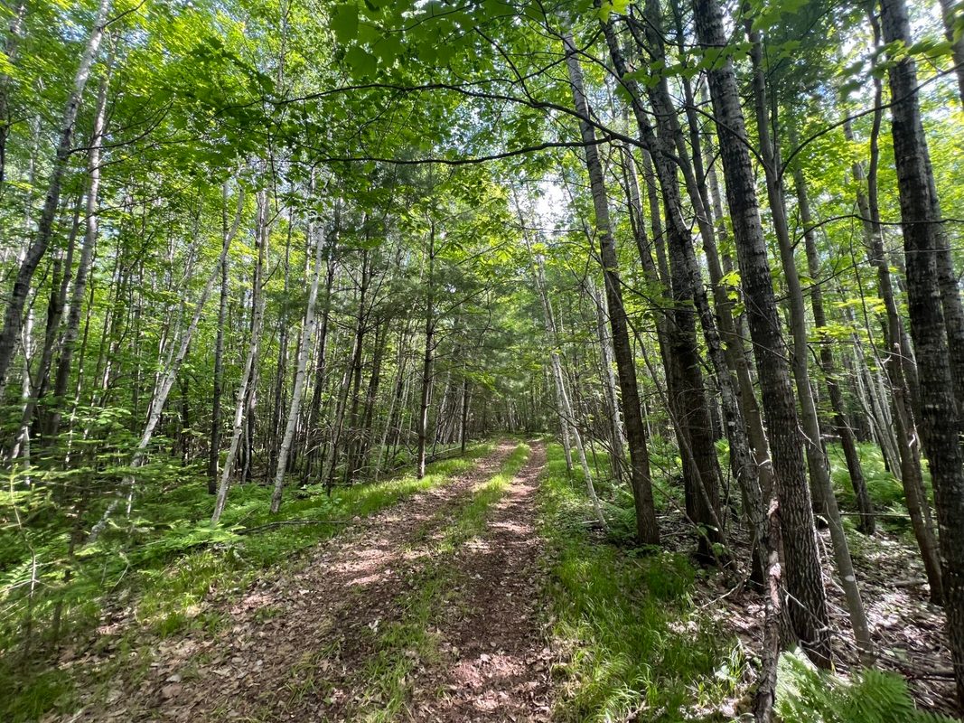 7151 County Road A, Solon Springs WI 54873 - Land house for sale - MLS #1602028 - image14