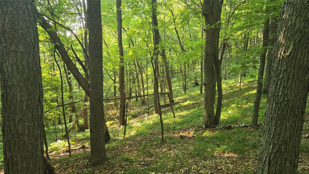 W02 State Highway 64, Colfax WI 54730 - Land house for sale - MLS #1604529 - image3
