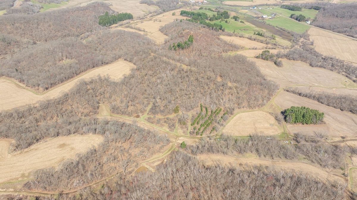 0 County Road S Blair WI 54616 — photo 18