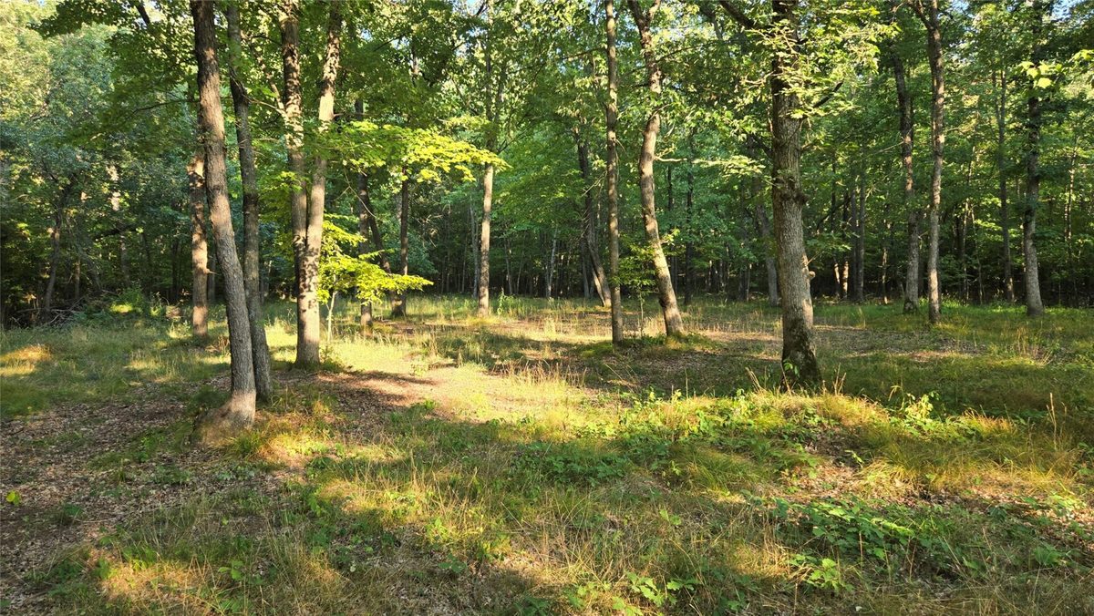 W02 State Highway 64, Colfax WI 54730 - Land house for sale - MLS #1604529 - image21