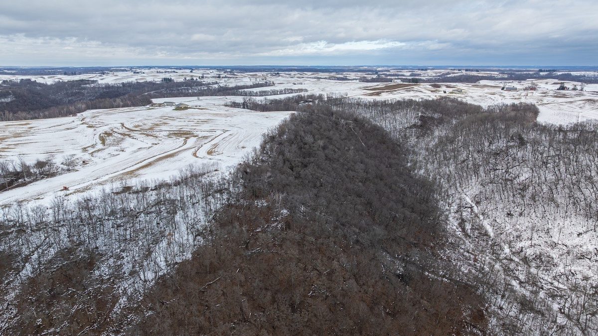0 Maplewood Lane Alma WI 54610 — photo 5