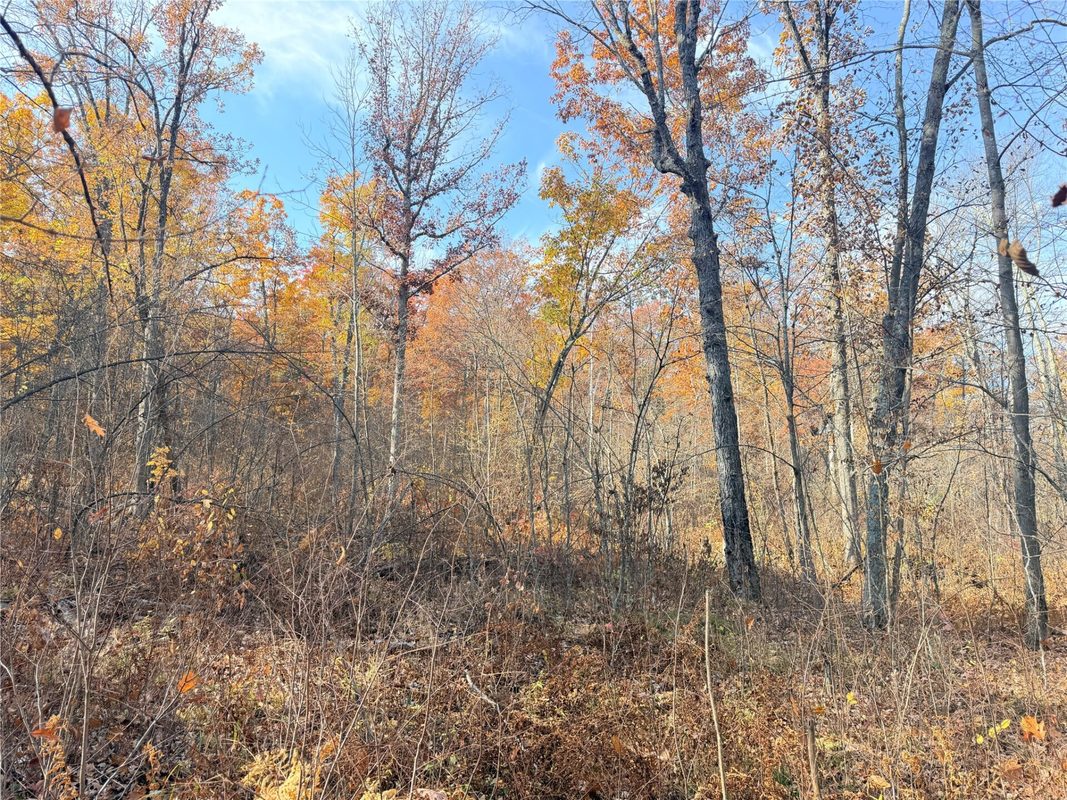 0 County Highway C, Rice Lake WI 54868 - Land house for sale - MLS #1605929 - image44