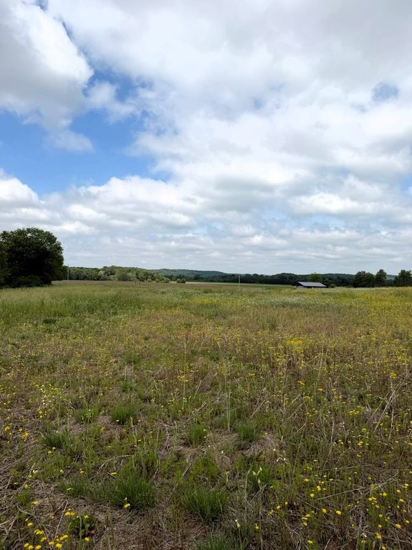 Lot 2 County Road F, Boyceville WI 54725 - Land house for sale - MLS #1601758 - image12