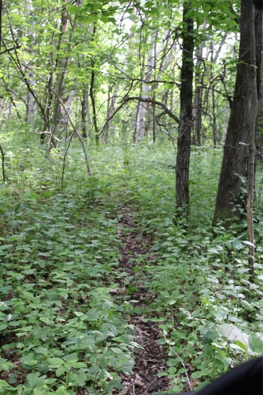 , Humbird WI 54746 - Residential house for sale - MLS #1602650 - image9