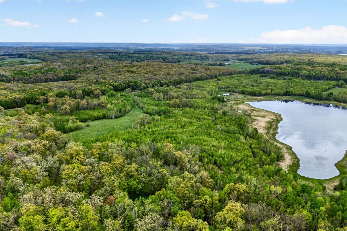 N8771 Fye Road, Trego WI 54888 - Land house for sale - MLS #1603147 - image7