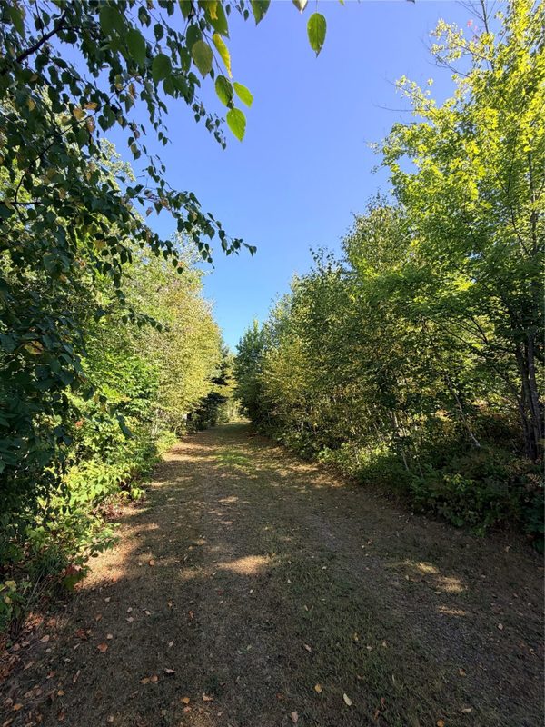 2474 11th Avenue, Cameron WI 54822 - Land house for sale - MLS #1604440 - image33