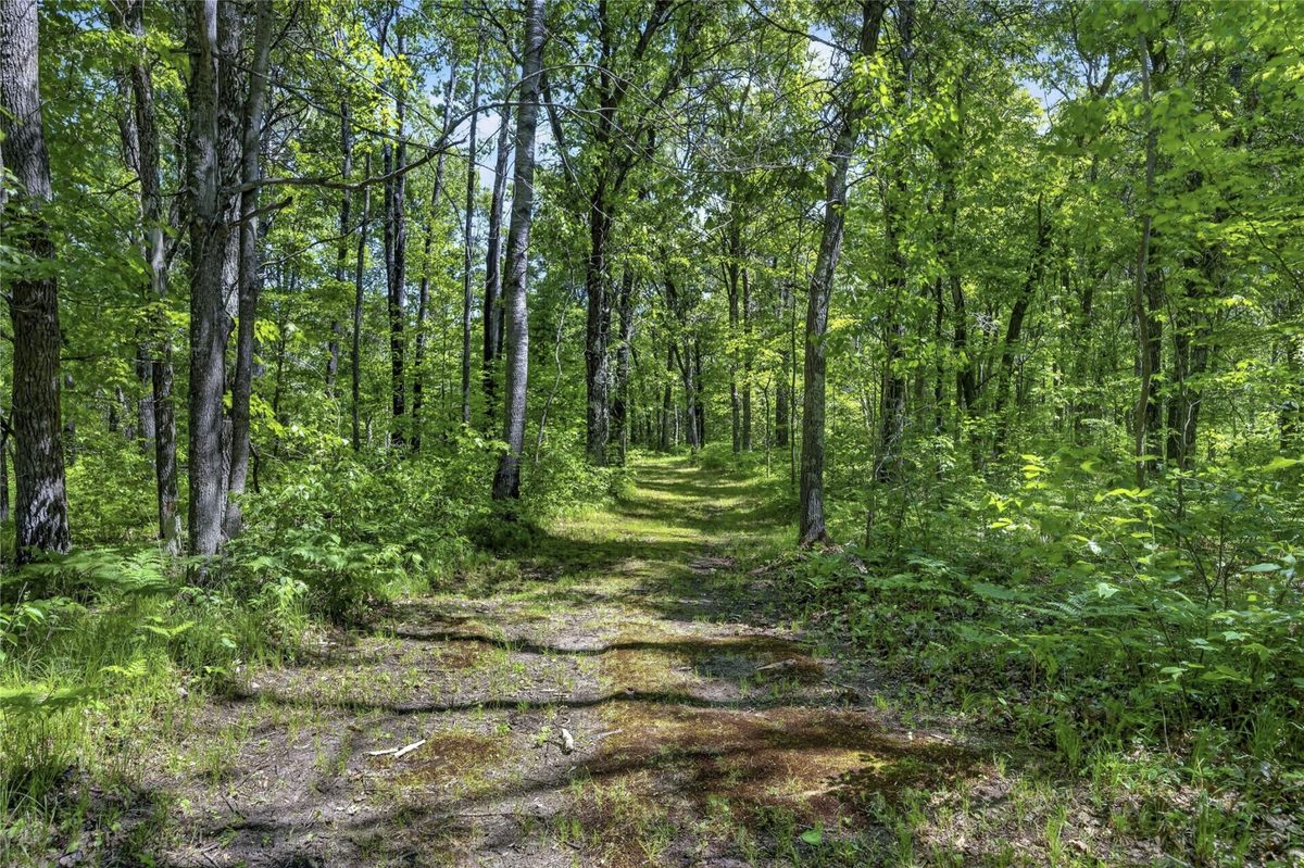 12235 Crooked Lake Road, Gordon WI 54838 - Residential house for sale - MLS #1600883 - image3