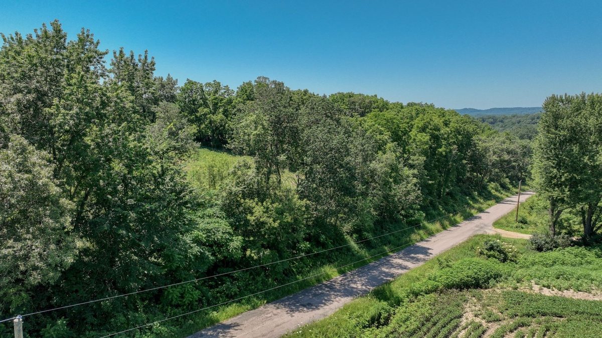 00 Garves Coulee Road, Bangor WI 54614 - Land house for sale - MLS #1603270 - image4