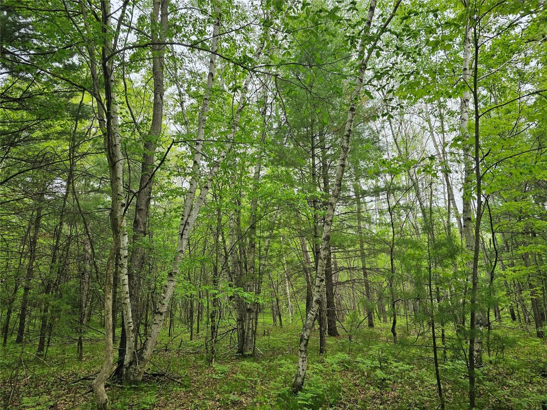 25227 Kruger Road, Webster WI 54893 - Land house for sale - MLS #1601553 - image13