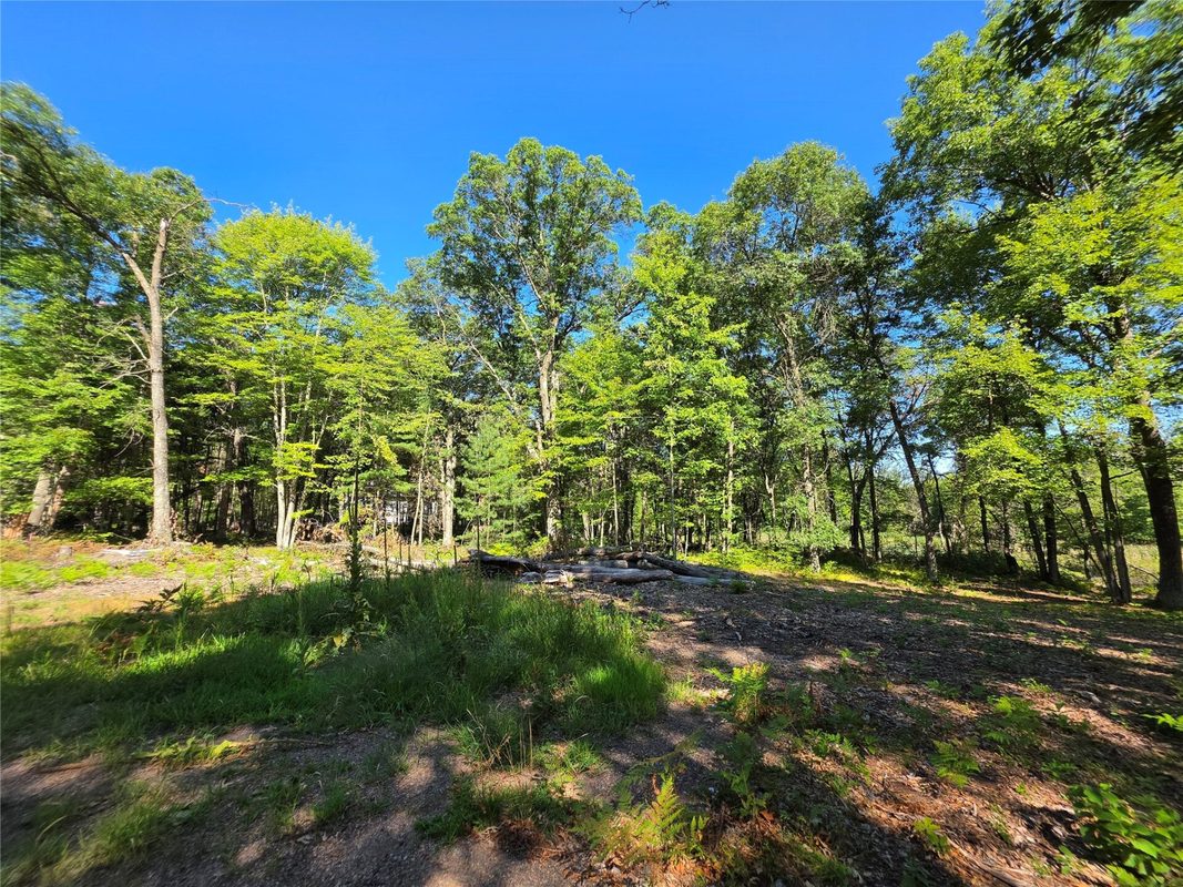 27696 295th (Lot 15) Street, Holcombe WI 54745 - Land house for sale - MLS #1604256 - image5