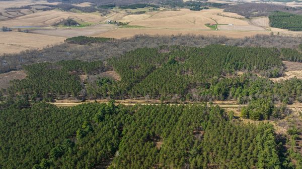 Land at 0 Prairie Road, Osseo, WI 54758 — photo 1
