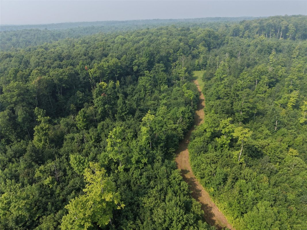 On County Road H, Radisson WI 54867 - Land house for sale - MLS #1603350 - image10