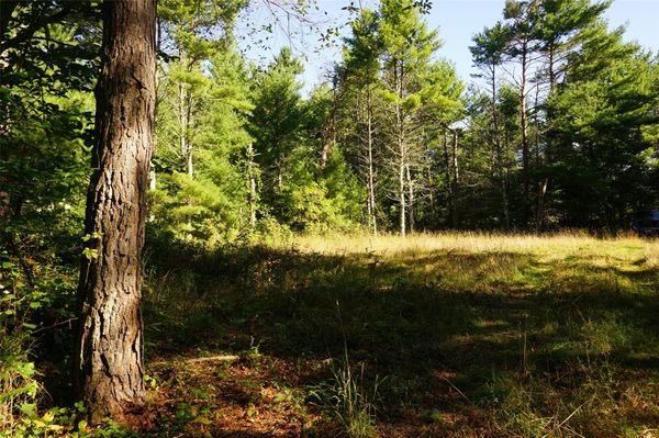 N9105 Flood — Lot 5 Road Black River Falls WI 54615