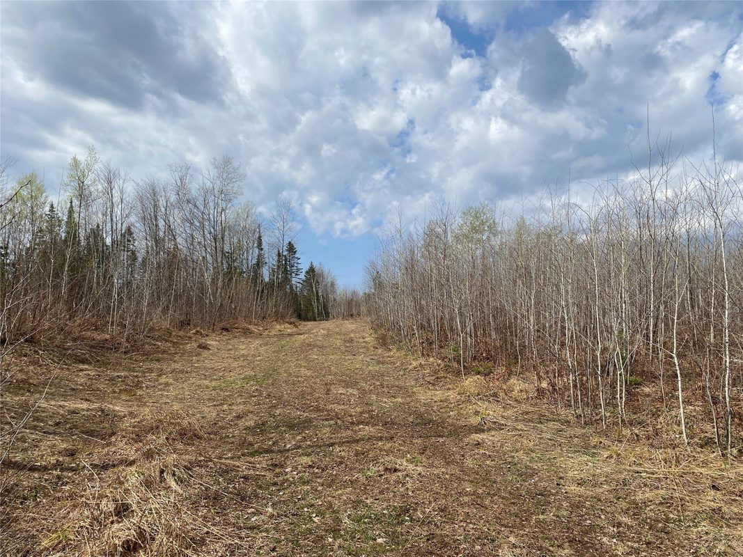 Near Wilson Lake Road Phillips WI 54555 — photo 3