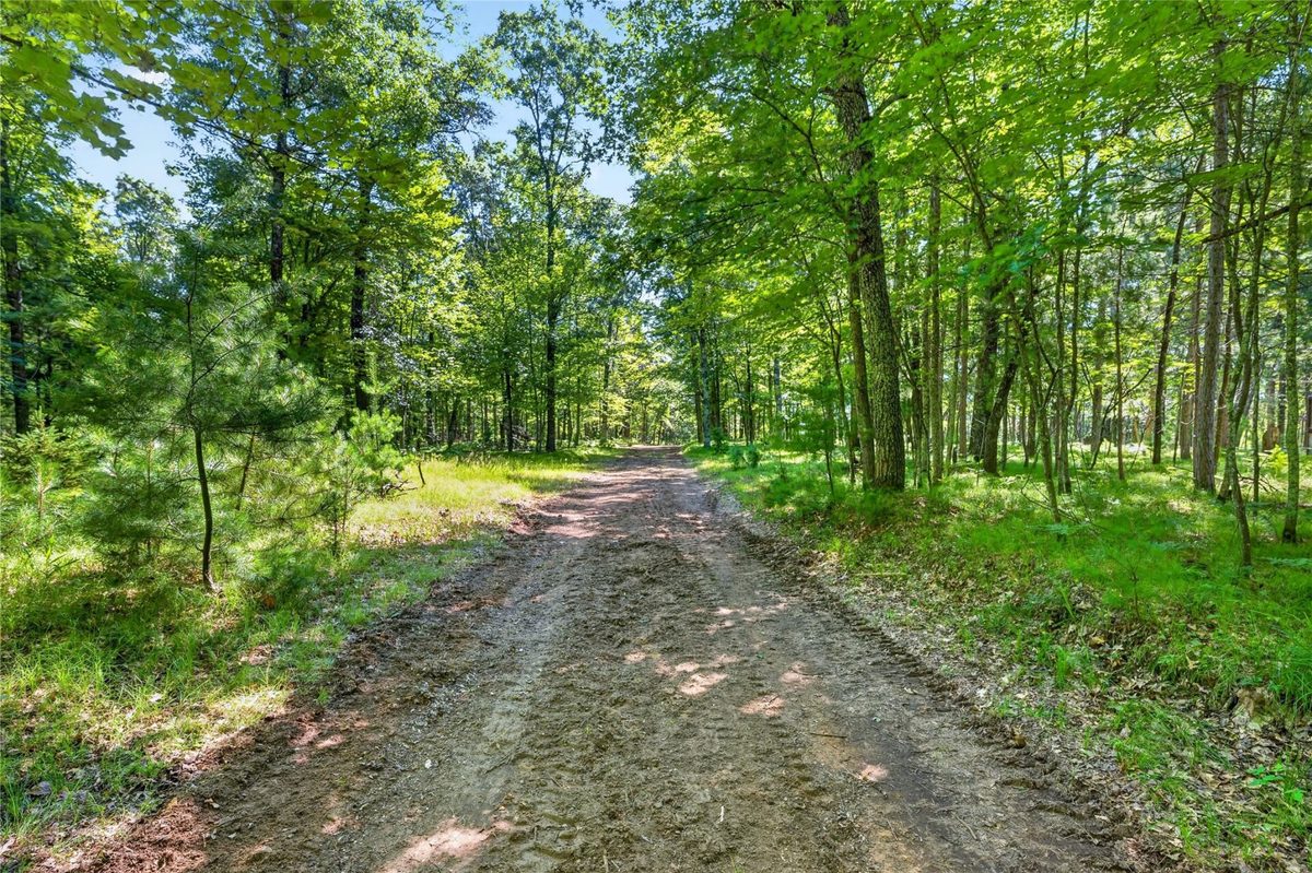 51260 Birch Lake Road, Barnes WI 54873 - Land house for sale - MLS #1603549 - image13